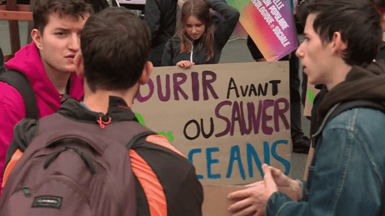 young people are mobilizing everywhere in France and calling for a global strike