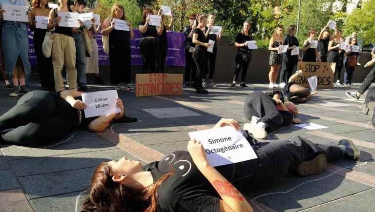 103 feminicides this year in France, a rally to denounce inaction in Toulouse