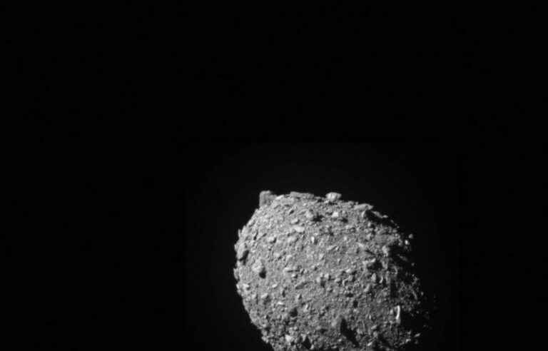 A NASA spacecraft did indeed manage to divert an asteroid from its trajectory