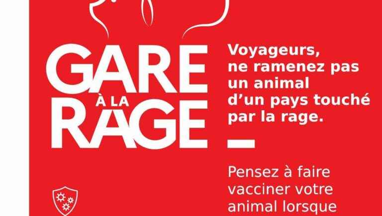 A case of canine rabies detected in Île de France