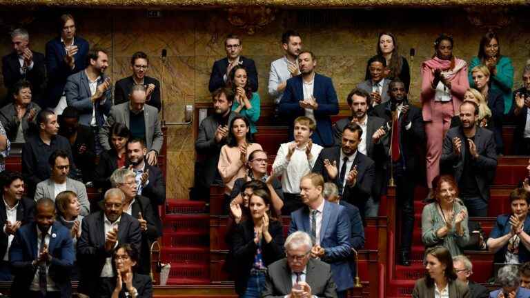 “A good part” of EELV deputies will vote for the motion of censure tabled by LFI