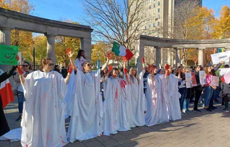 A human chain of more than a kilometer in support of the Iranian people