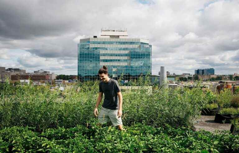 A new DEC in urban agriculture