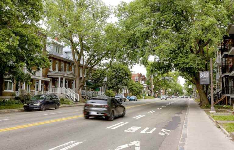 Are “street” trees happier than their park companions?