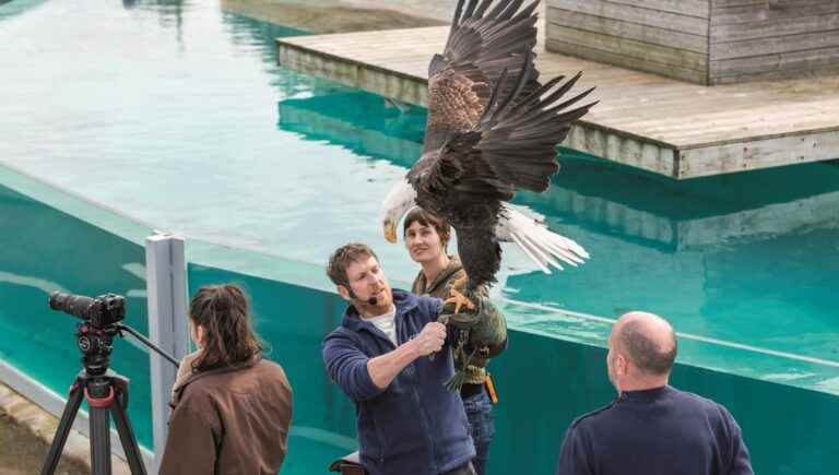 Ariel Neo, director of “Ciels de Légendes” or Brittany seen by an eagle