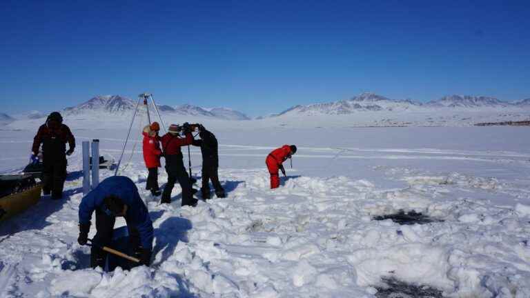 As climate warms, viruses trapped in ice could find new hosts, study finds