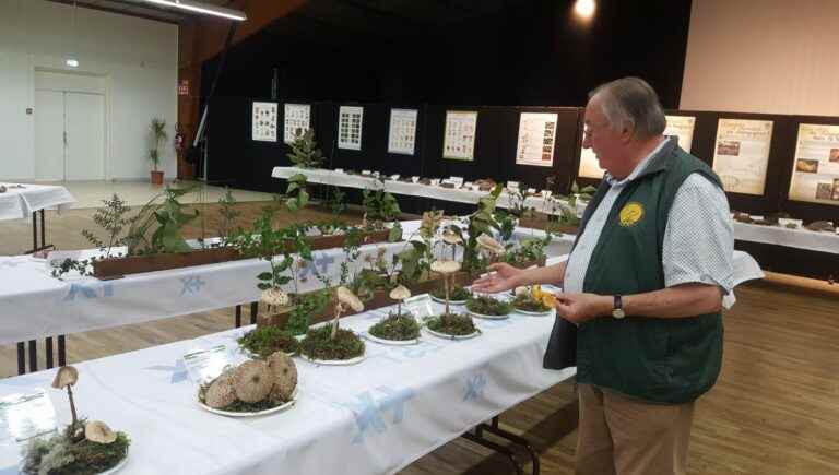 At La Roche-sur-Yon, 200 species of mushrooms are on display this weekend