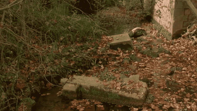 Autumn heat: low water tables everywhere in France