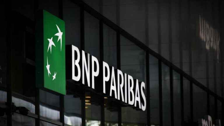 BNP Paribas bank given formal notice by NGOs, accused of financing deforestation in Brazil