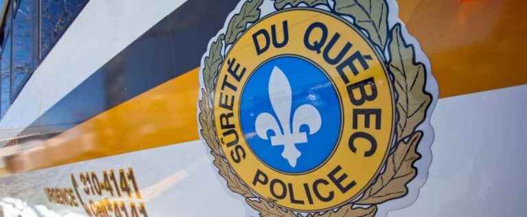 Beauce: a young driver seriously injured in a collision with cows