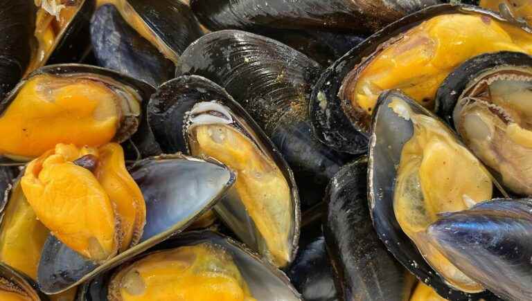 Bouchot mussels, with Jérôme Stepanian from Poissonnerie Fereyre in Valence