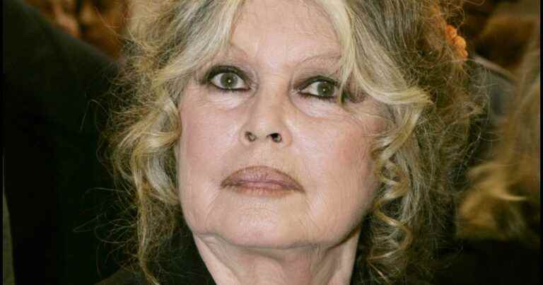 “Brigitte, show us your ass”: Brigitte Bardot lives a real hell at the Madrague