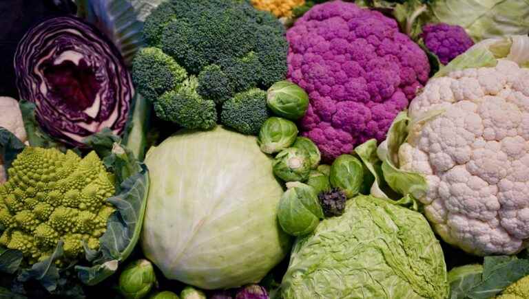 Cabbage in all its forms with Cyrille Vincent, teacher at the Lycée Hotellier de St-Chamond