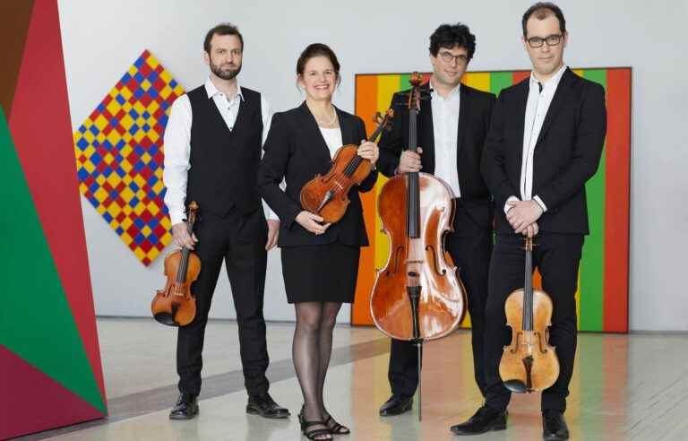 Classical music: the age of maturity for the Molinari Quartet, which is celebrating its 25th anniversary