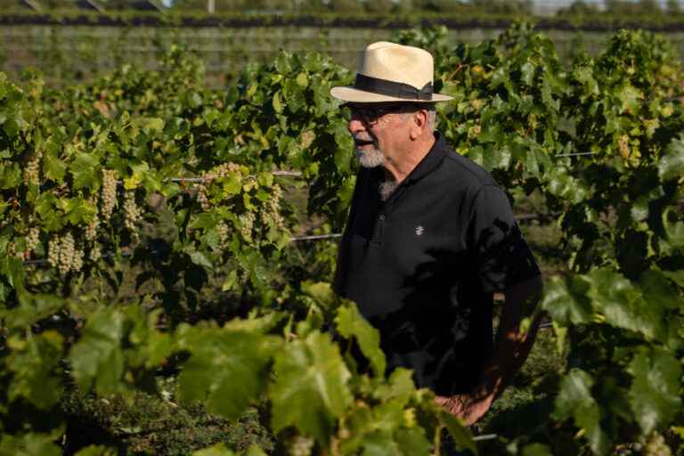 Climate change |  Ontario winemakers seek solutions