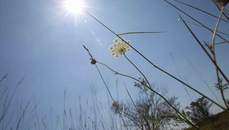 “Climate change is profoundly changing our environment,” researcher says