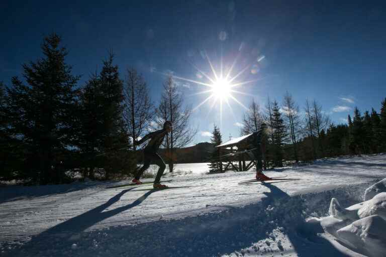 Closure of Montmorency forest trails |  “It’s just really sad”