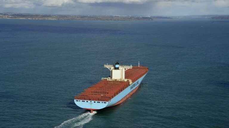 Commercial ships encouraged to reduce their speed to limit underwater noise pollution