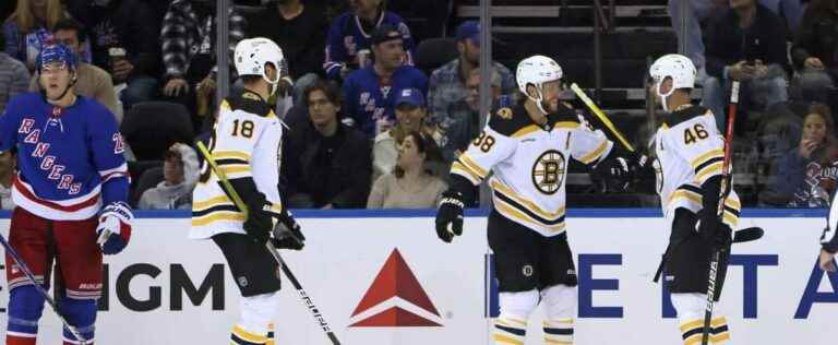 Czechs bring rain or shine to Boston Bruins