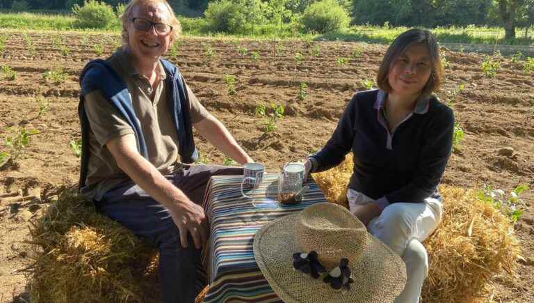 Denis Mazerolles, tea pioneer in Morbihan