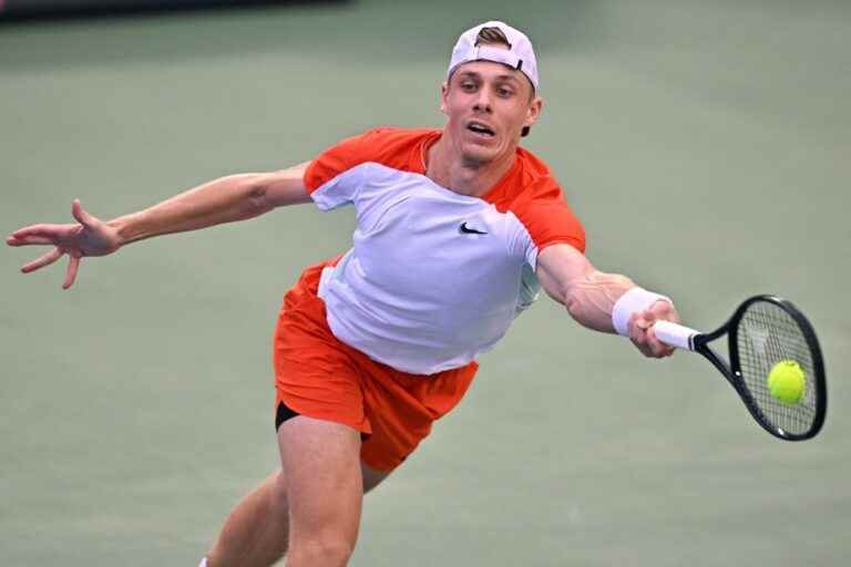 Denis Shapovalov loses in the final in Seoul