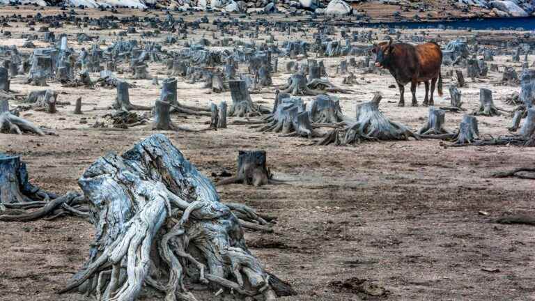 Drought worsens in southern France, according to Météo France