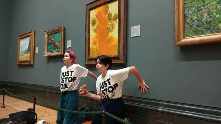 EDITORIAL.  Are the brilliant actions of environmental activists in museums useful?