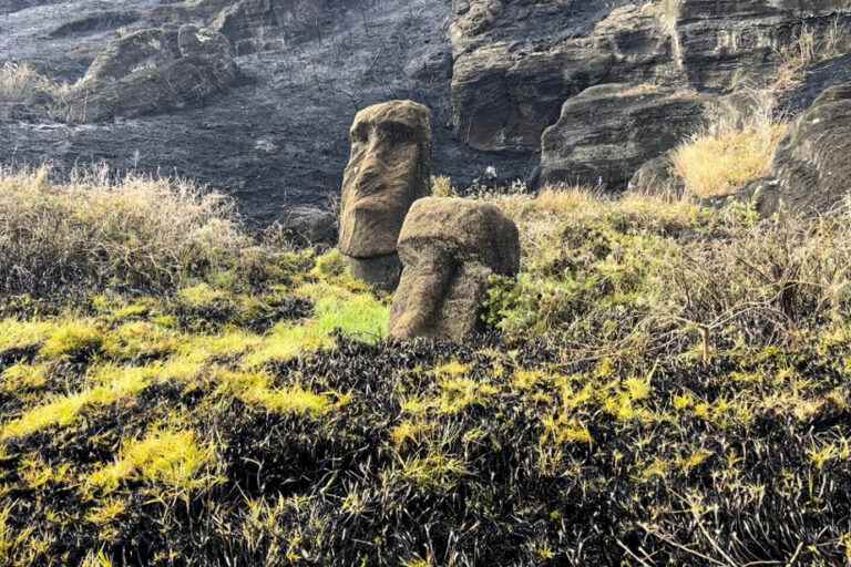 Easter Island statues damaged by fire