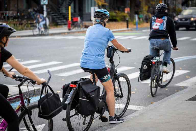 Electrically assisted bicycles |  Living together on crowded tracks