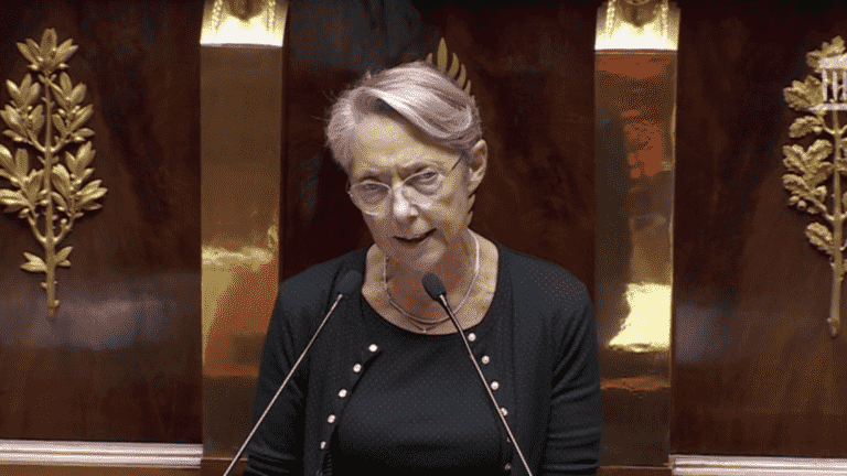 Elisabeth Borne draws 49.3 to get the 2023 budget adopted