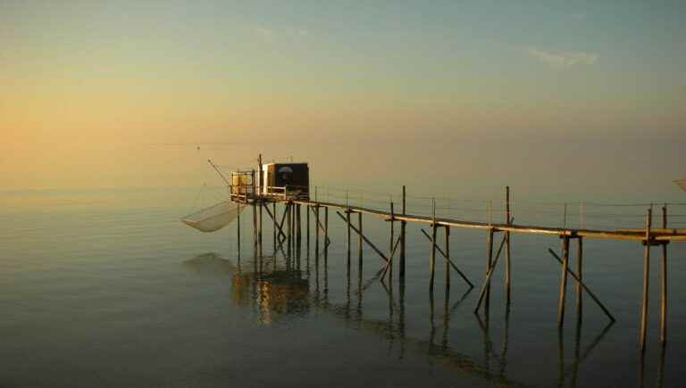 Exploiting a plaice in Charente-Maritime, does that tell you?