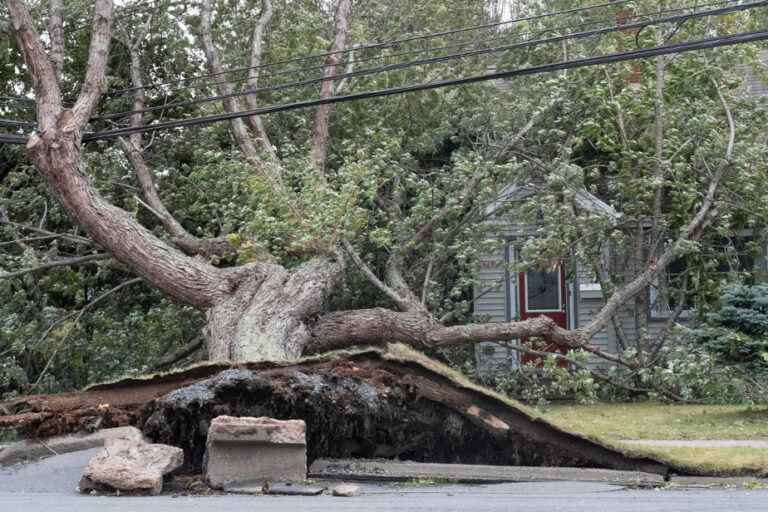 Fiona in Atlantic Canada |  Tens of thousands still without power