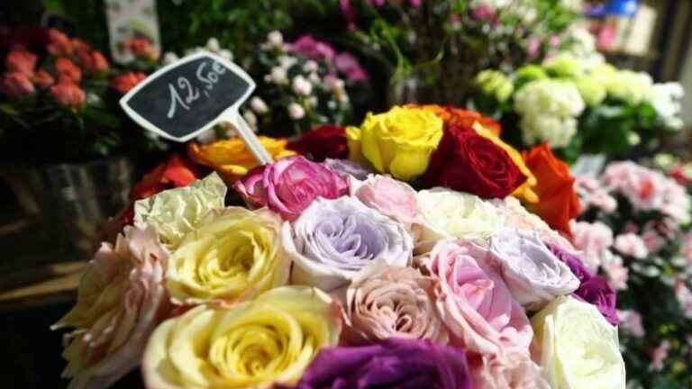 Flowers: the country of origin must be indicated from June 2023