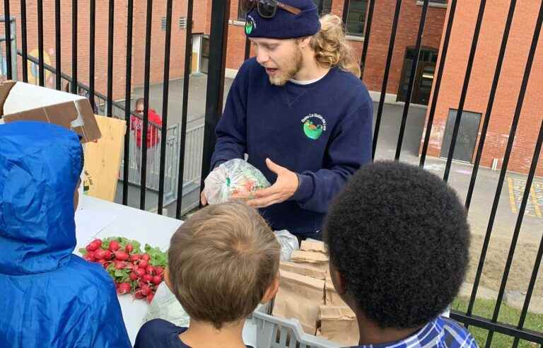 Food: schools in Quebec see life in green