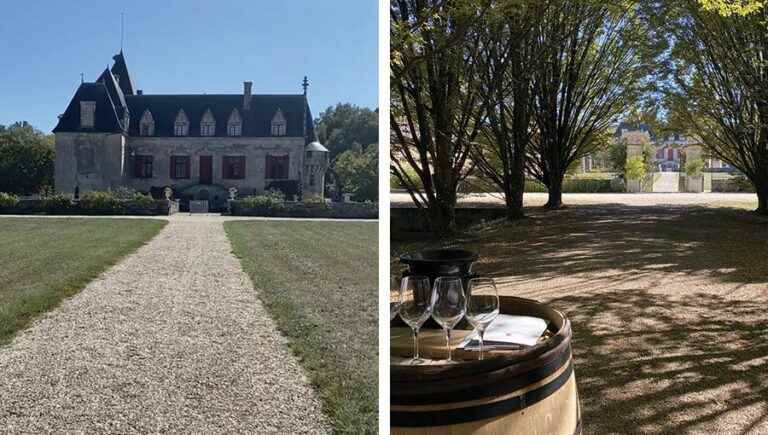 Forest bathing in the heart of a Grand Cru Classé from Graves to Pessac-Léognan