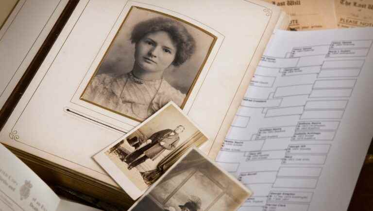 Genealogy, user’s guide