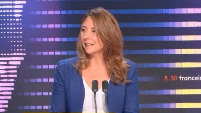 Gérald Darmanin is “solely responsible” for the clashes, according to ecologist Sandra Regol