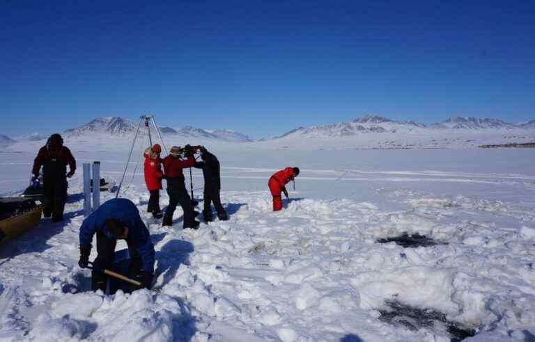 Global warming could cause a “viral spillover” from the Arctic, according to a Canadian study.