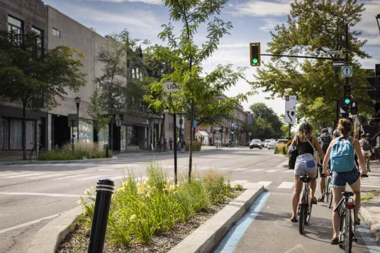 Green and cycling infrastructure |  The best slice of the pie to the affluent quarters