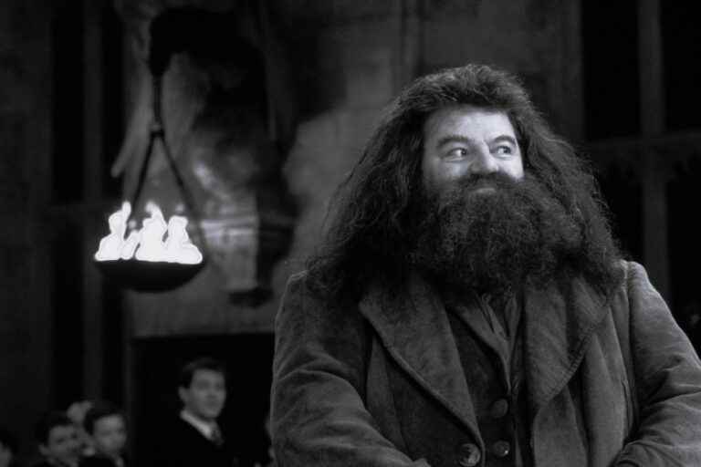 Hagrid singer Robbie Coltrane dies at 72