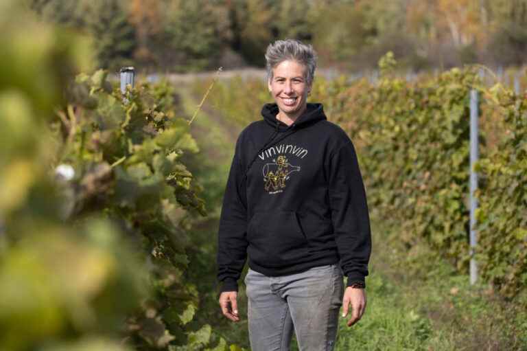 Harvest time |  Freewheeling: choosing Quebec