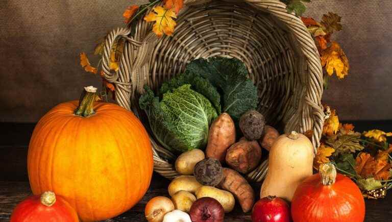 How to take care of your immune system in the fall?