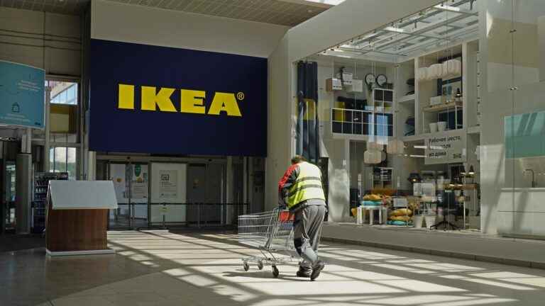 Ikea hit in full flight by inflation and the shortage of raw materials