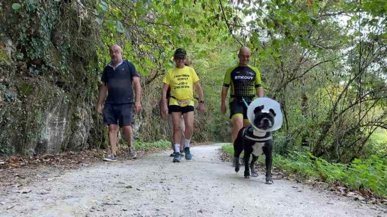 In Castres, sports activities to help people with cancer