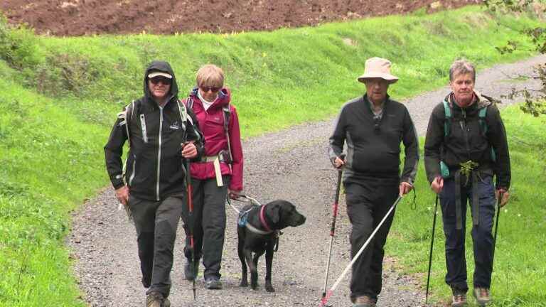 In Haute-Loire, visually impaired people hike in the heart of nature thanks to an application