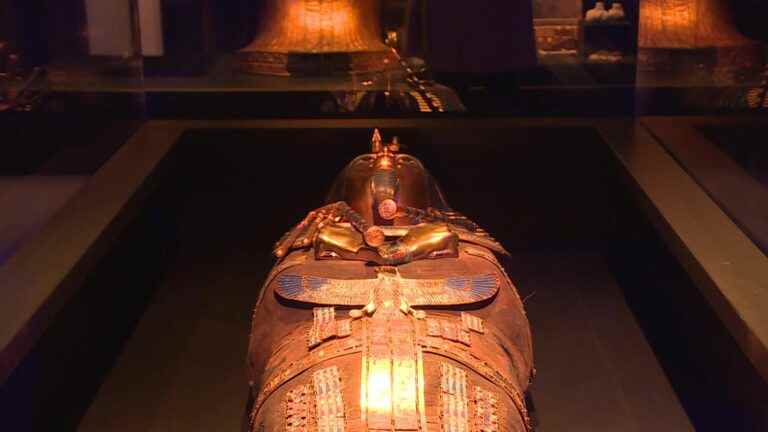 In Lyon, discover the tomb of Tutankhamun with an immersive exhibition