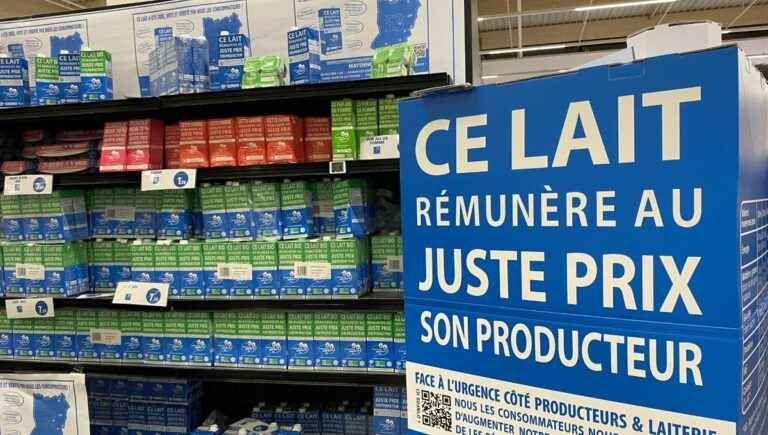 In Mayenne, breeders sell their milk at a higher price thanks to “C’est qui le patron?”