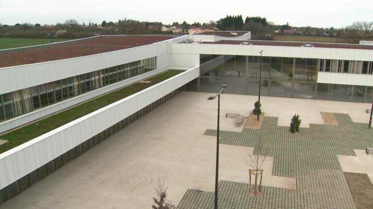 In Vienne, green roofs to promote energy savings