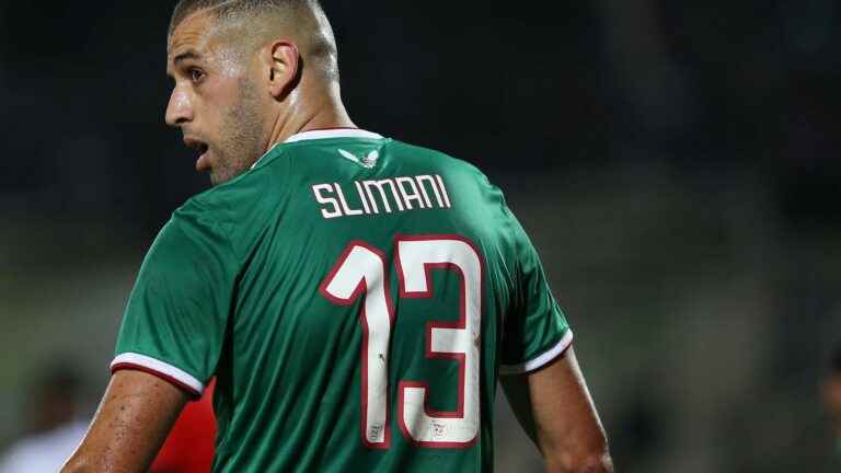 Islam Slimani says he was targeted by a racist insult during Clermont-Brest, Johan Gastien denies