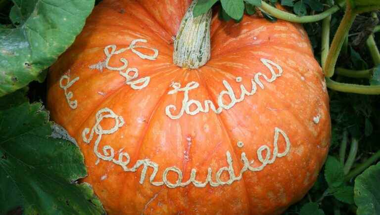 It’s pumpkin festival this Sunday at the Jardins des Renaudies in the Mayenne bocage